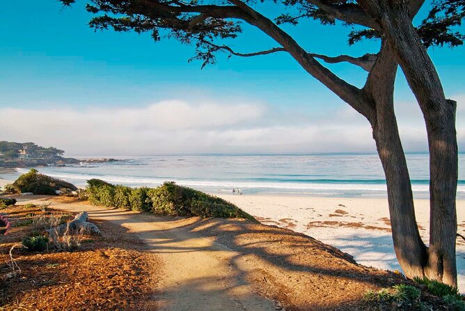 Carmel by the Sea 2-Hour Private Walking Tour - Tour Duration and Schedule