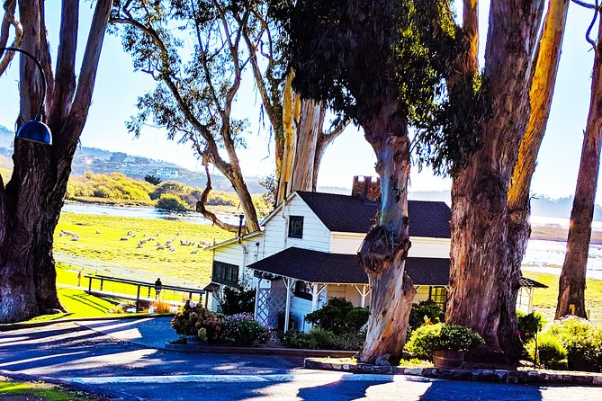 Carmel by the Sea: A Self-Guided Driving Audio Tour - Reviews and Ratings