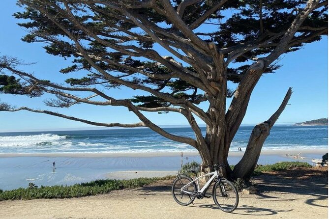 Carmel-By-The-Sea Electric Bike Guided Tour - Biking Through Carmel