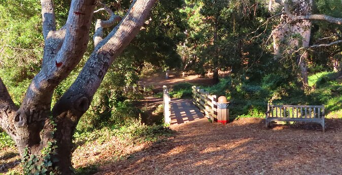 Carmel-by-the-Sea Mission Areas: A Self-Guided Audio Tour - Pricing and Reviews