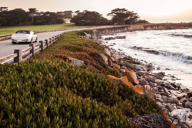 Carmel Drive Tour - User Feedback: Positive