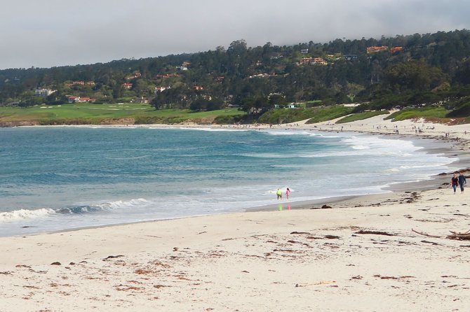 Carmel Point: A Self-Guided Audio Tour - Notable Flora and Fauna