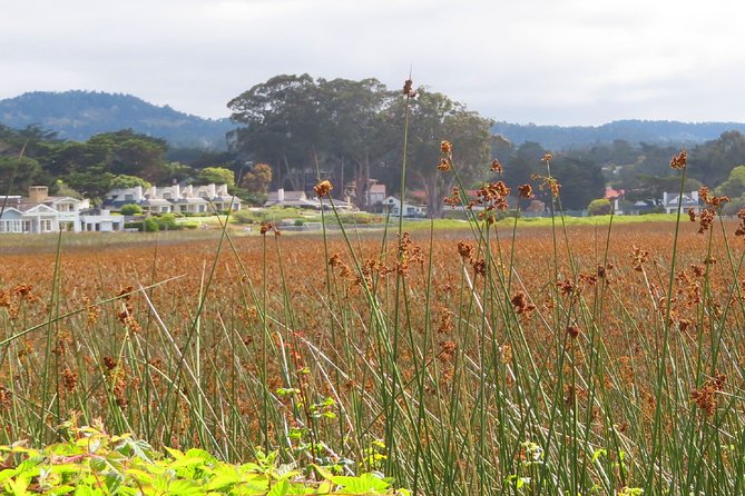 Carmel Point: A Self-Guided Audio Tour - Films Shot Locally
