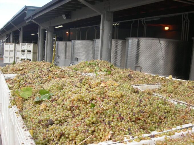 Carmel Valley Wine Tasting Tour - Frequently Asked Questions
