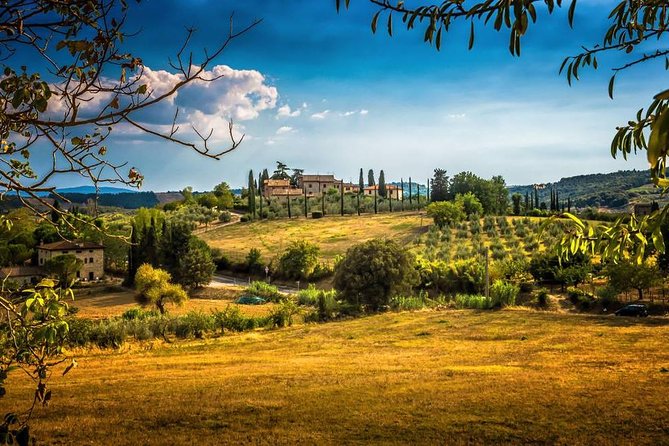 Carmignano Half Day Tour From Florence: the First Cabernet Sauvignon in Tuscany - Quick Points