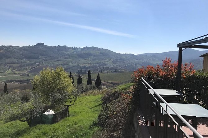 Carmignano Half Day Tour From Florence: the First Cabernet Sauvignon in Tuscany - Pricing, Cancellation, and Customer Feedback