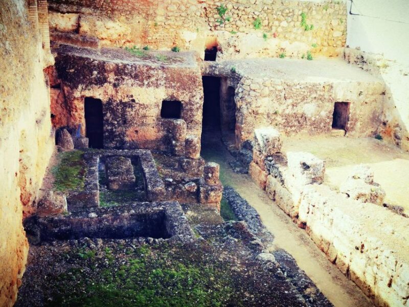Carmona: City Walking Tour - Inclusions