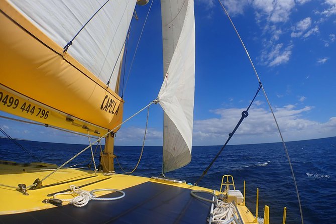 Carnac Island Half Day Sail - What to Bring