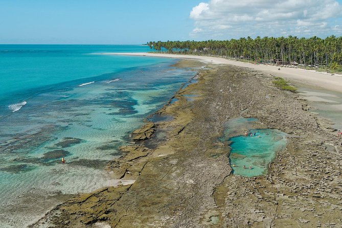 Carneiros Beach Tour From Maragogi With Costazul Turismo - Beach Details