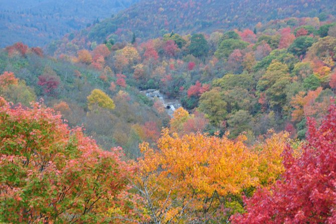 Carolina Waterfalls and Highlands Private VIP Boutique Tour - Exploring the Cullasaja River Gorge