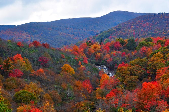 Carolina Waterfalls and Highlands Private VIP Boutique Tour - Hiking Whiteside Mountain and Cliffside Lake