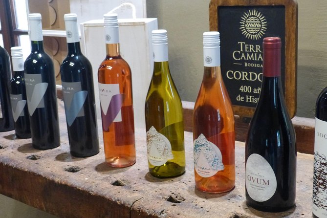 Caroya Winetour X 2 Pax - Key Points