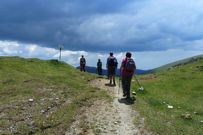 Carpathians in Romania: Bucegi Natural Park With Native Spanish Guide. - Hiking Details