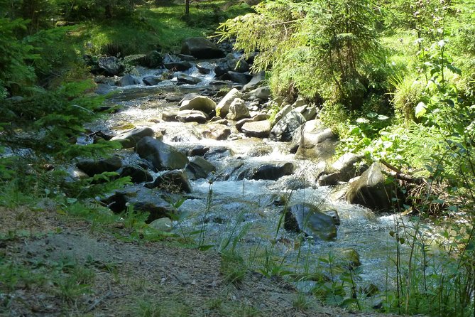Carpathians in Romania: Bucegi Natural Park With Native Spanish Guide. - Enjoyable Experiences