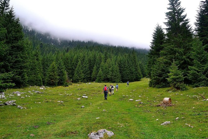 Carpathians in Romania: Piatra Craiului National Park With Native Spanish Guide. - Inclusions