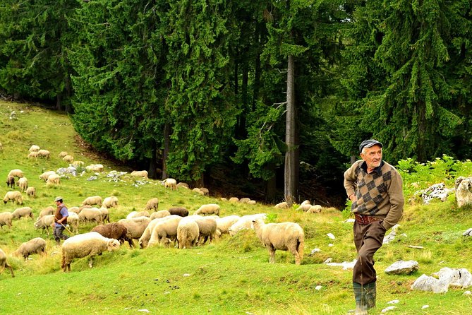 Carpathians in Romania: Piatra Craiului National Park With Native Spanish Guide. - Health and Fitness Requirements