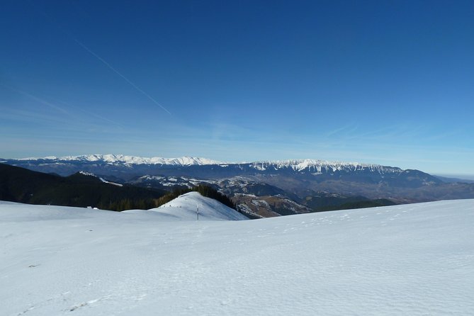 Carpathians in Romania: Piatra Craiului National Park With Native Spanish Guide. - Booking and Cancellation Policy