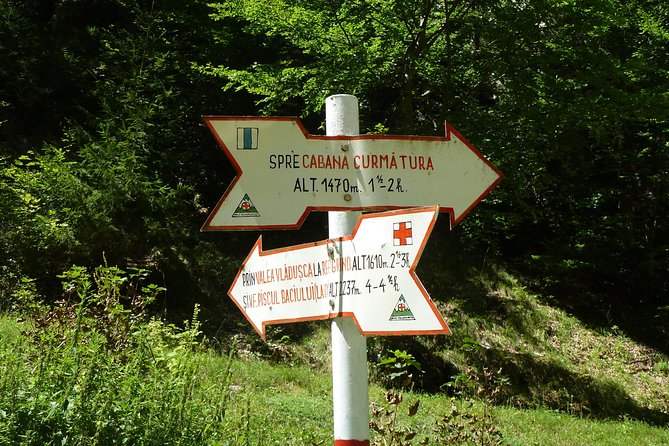 Carpathians in Romania: Piatra Craiului National Park With Native Spanish Guide. - Highlights of the Tour