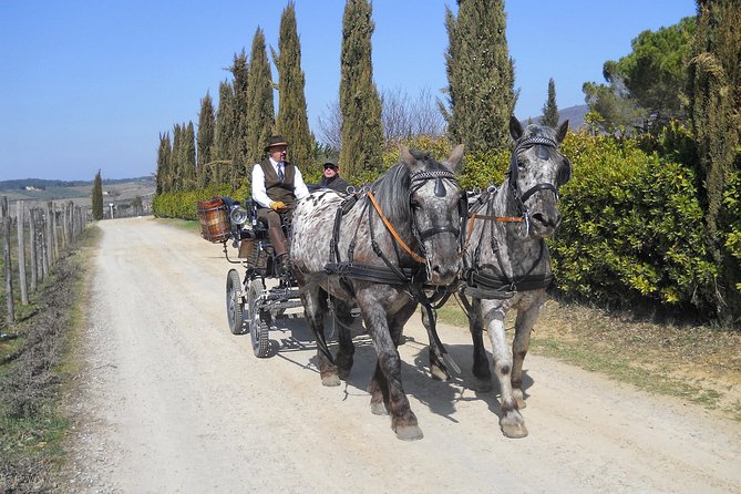 Carriage Ride and Lunch in a Typical Restaurant in the Heart of Chianti - Quick Points
