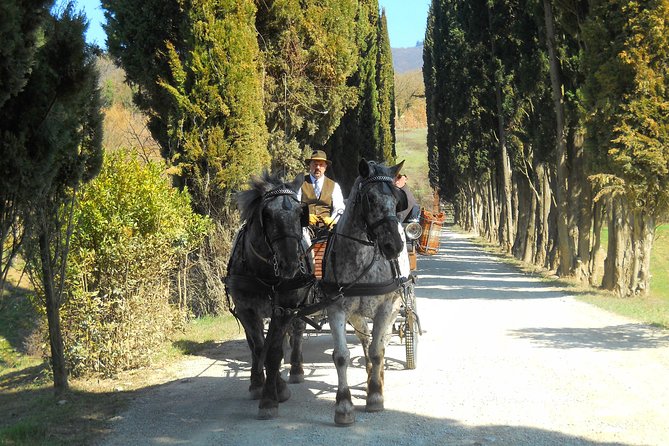 Carriage Ride and Lunch in a Typical Restaurant in the Heart of Chianti - Health and Safety