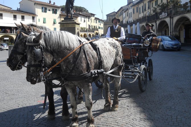 Carriage Ride and Lunch in a Typical Restaurant in the Heart of Chianti - Booking Information