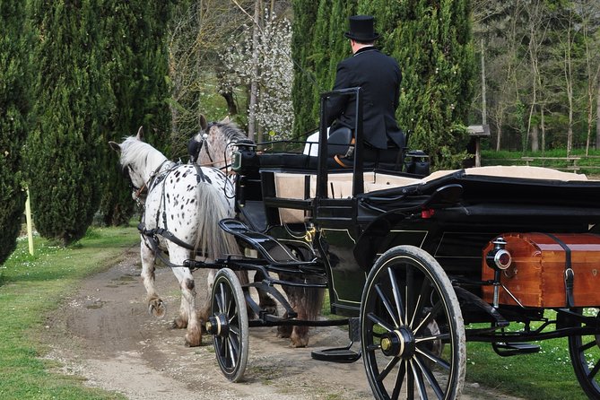 Carriage Ride and Lunch in a Typical Restaurant in the Heart of Chianti - Reviews