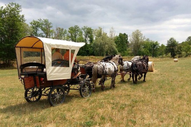 Carriage Ride and Lunch in a Typical Restaurant in the Heart of Chianti - Chianti Carriage Ride