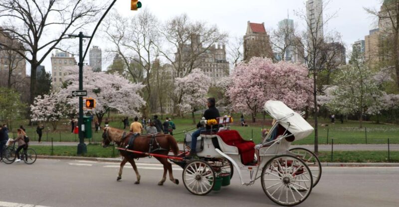 Carriage Ride To/From Tavern on the Green (Up to 4 Adults) - Key Points
