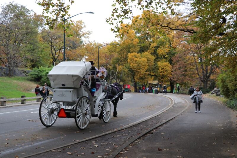 Carriage Ride To/From Tavern on the Green (Up to 4 Adults) - Experience Highlights