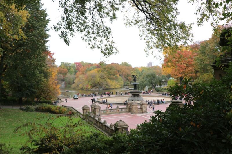 Carriage Ride To/From Tavern on the Green (Up to 4 Adults) - Activity Description