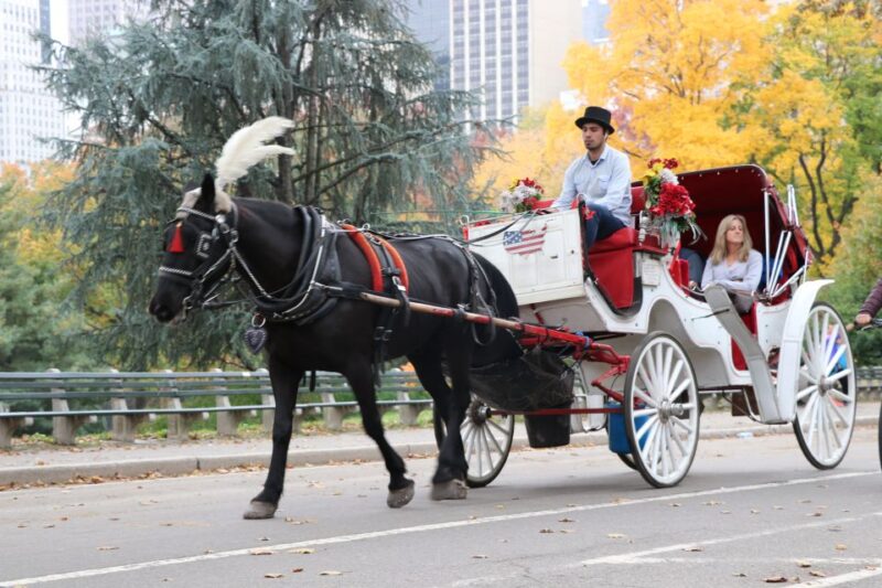 Carriage Ride To/From Tavern on the Green (Up to 4 Adults) - Customer Feedback and Ratings