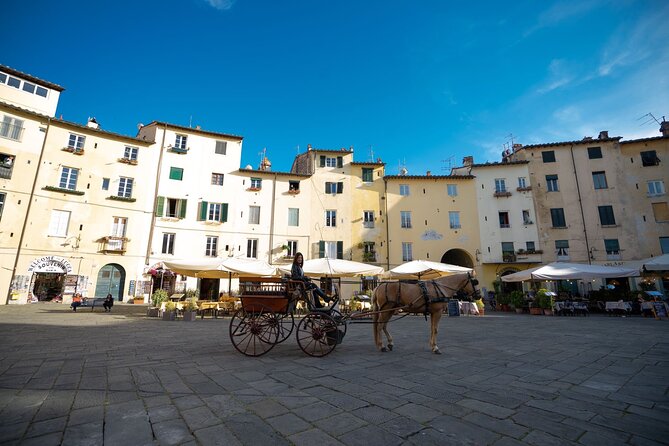 Carriage Tour in the Historic Center of Lucca - Group Participation Exclusivity