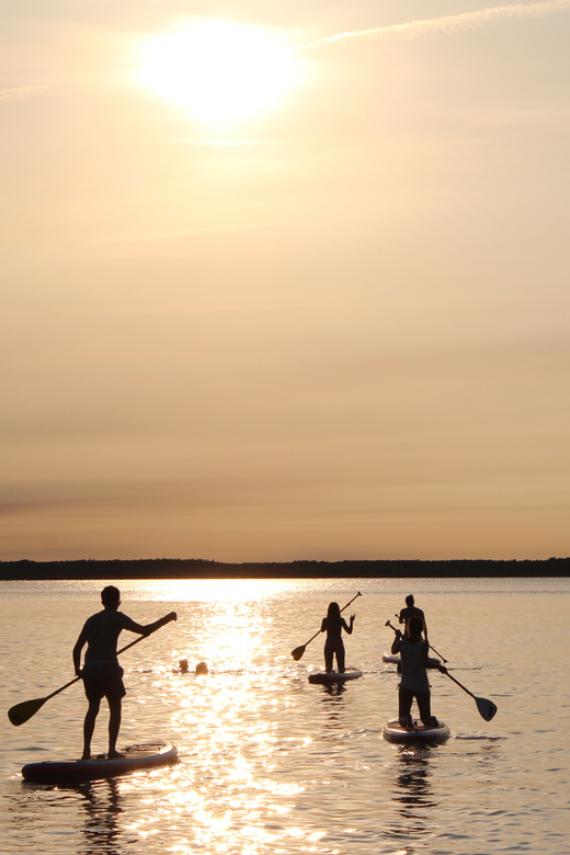 Carry-Le-Rouet: Sunset Tour on Stand-Up Paddleboards - Paddleboarding Techniques