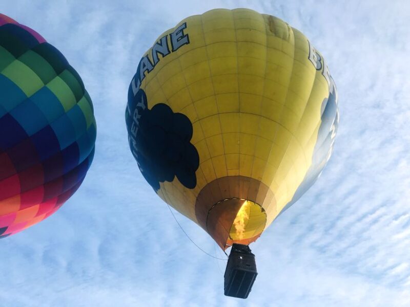 Carson City: Hot Air Balloon Flight - Duration and Timing