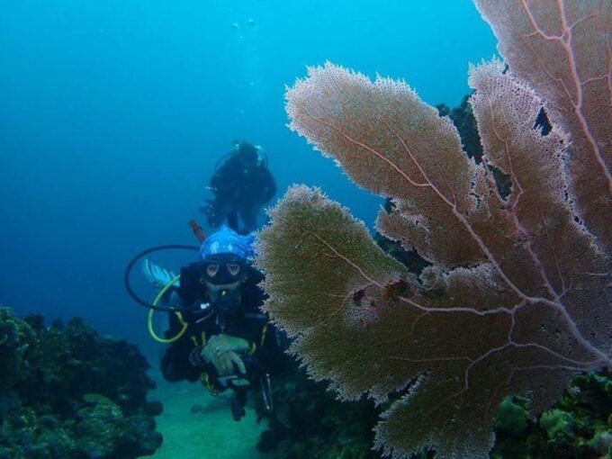 Cartagena: 2 Tanks Dive Plan For CERTIFIED DIVERS - Frequently Asked Questions