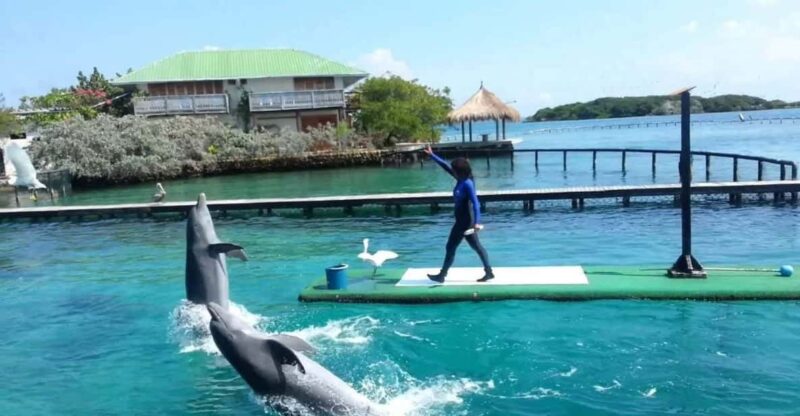 Cartagena: 4 Island Destination by Boat + Oceanarium Tickets - Key Points