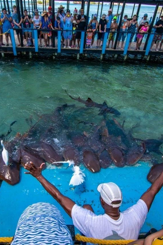 Cartagena: 4 Island Destination by Boat + Oceanarium Tickets - Transportation and Pickup