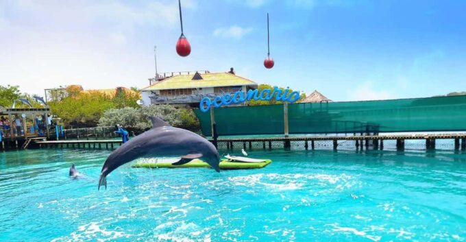 Cartagena: 4 Islands by Sport Boat + Oceanarium Tickets - Meeting Point
