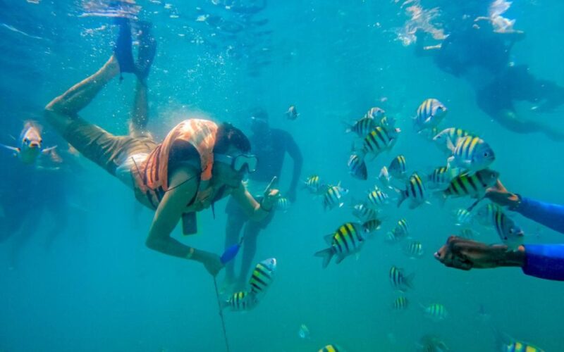 Cartagena: 5 Island Boat Tour With Night Bioluminescent Stop - Important Information
