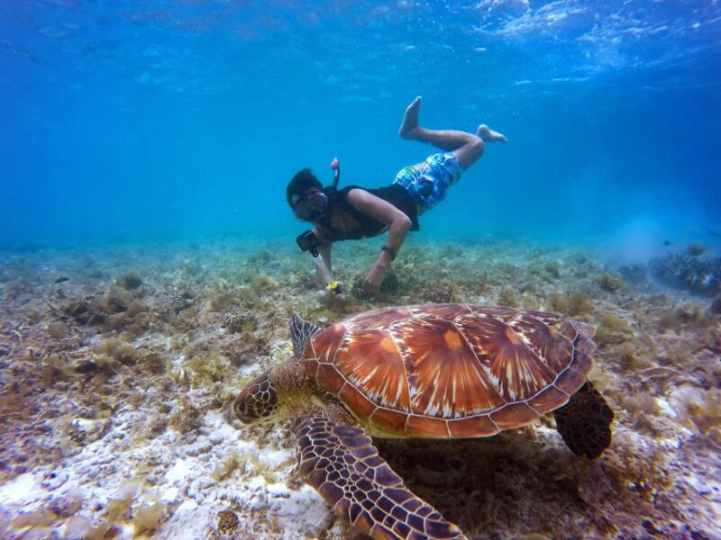 Cartagena: 5 Islands Boat Tour With Lunch, Snorkeling, & Bar - Itinerary and Experience