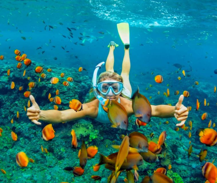 Cartagena: 5-Stop Rosario Islands Tour With Lunch & Entries - Starting Point and Transportation