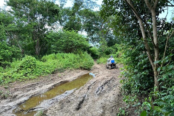 Cartagena ATV Tours by Bomba Tours - Amenities and Facilities