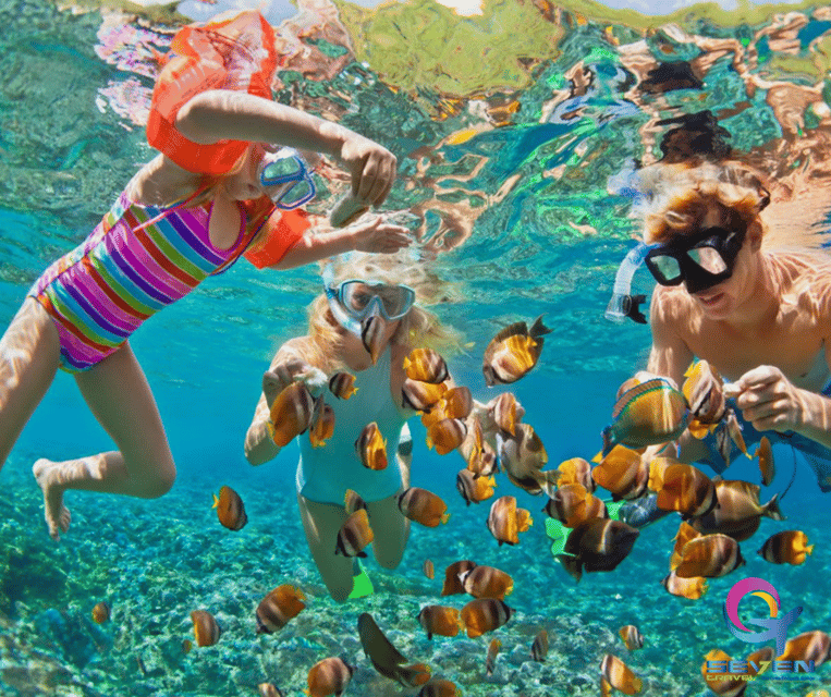 Cartagena: BARU Playa Blanca With SNORKELING INCLUDED - Important Information and Recommendations