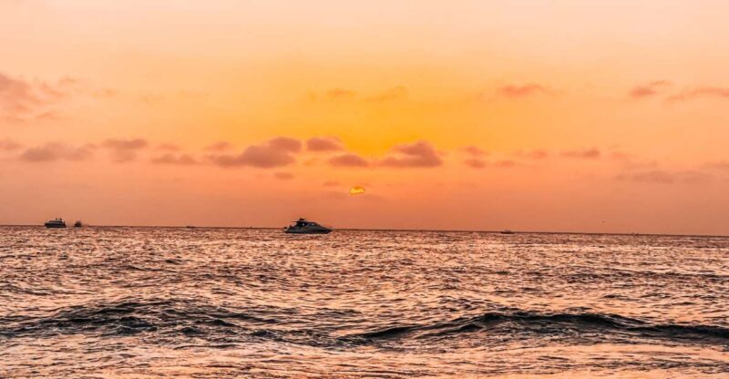 Cartagena: Barú Sunset Beach With Bioluminescent Plankton - Highlights and Features