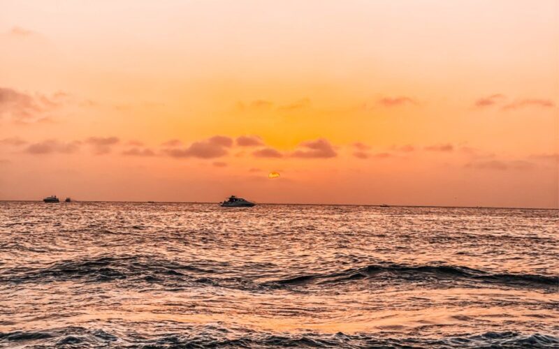 Cartagena: Barú Sunset Beach With Bioluminescent Plankton - Highlights and Features
