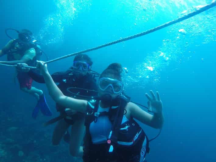 Cartagena: Basic Diving for Beginners in Rosario Islands - Key Points