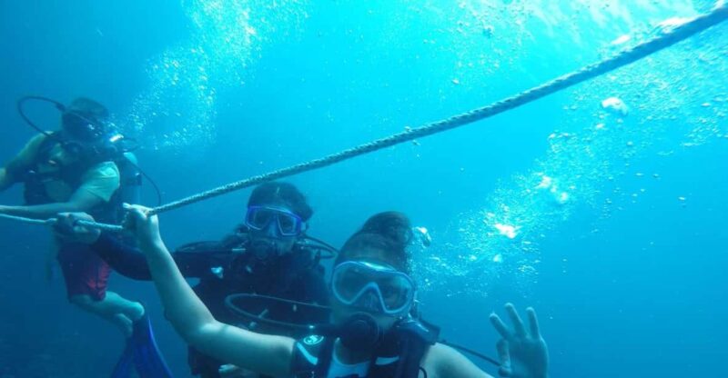 Cartagena: Basic Diving for Beginners in Rosario Islands - Pricing and Cancellation Policy