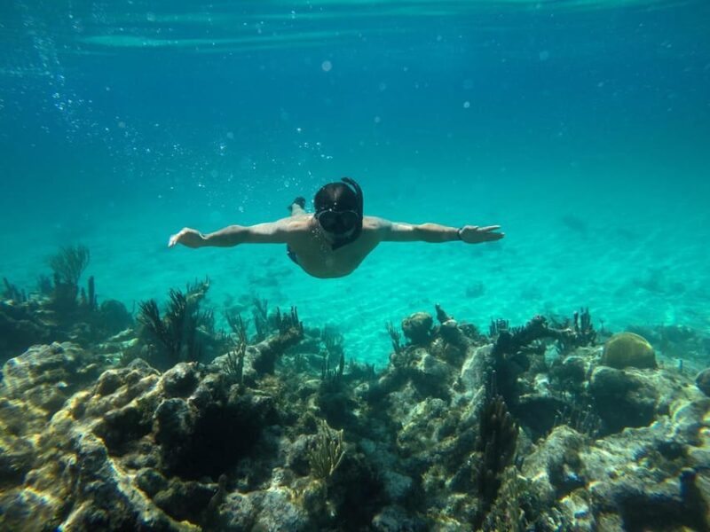 Cartagena: Basic Diving for Beginners in Rosario Islands - Transportation to the Island