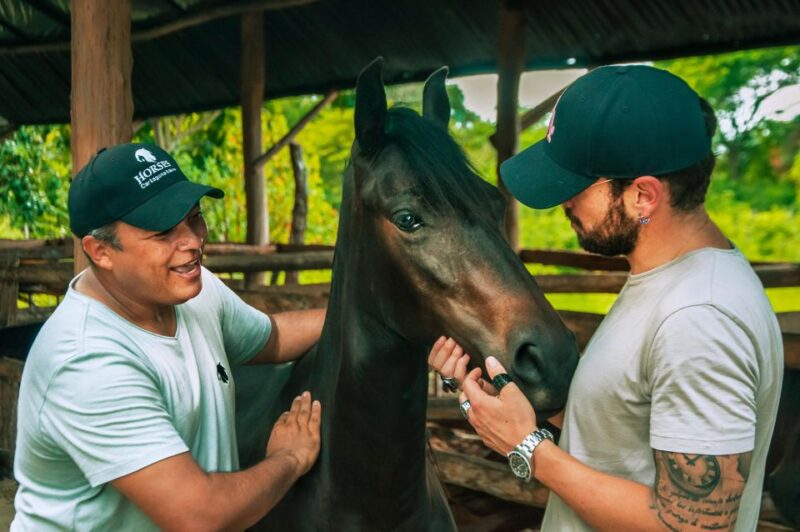 Cartagena: Beach Horse Ride and Colombian Horse Culture - Key Points