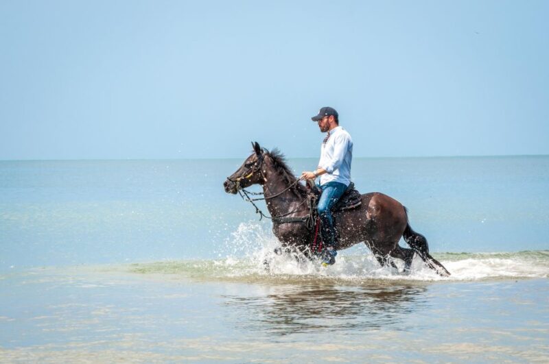 Cartagena: Beach Horse Ride and Colombian Horse Culture - Itinerary Details